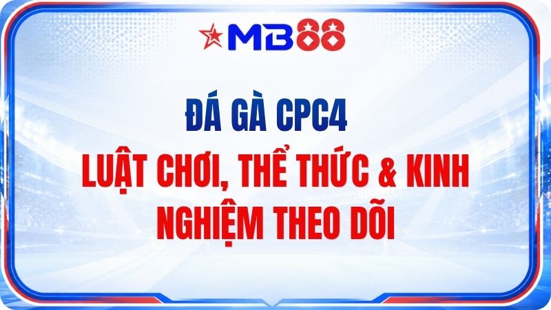 Đá Gà CPC4 – Luật Chơi, Thể Thức & Kinh Nghiệm Theo Dõi